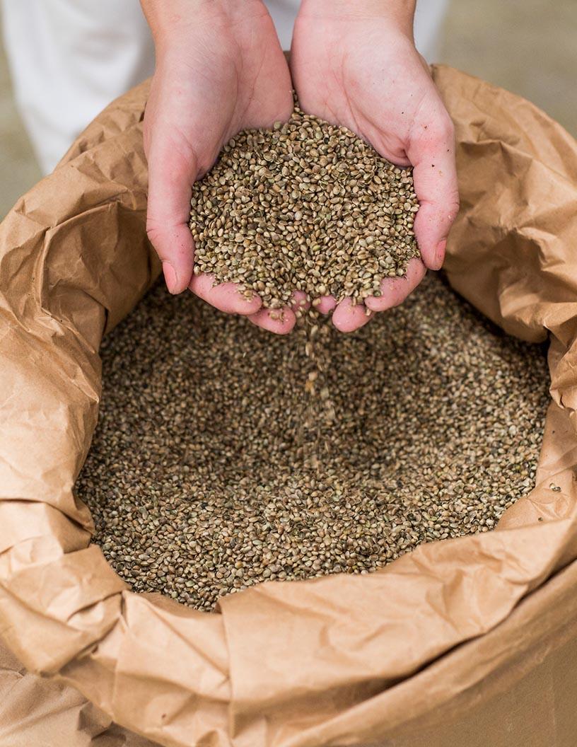 Industrial Hemp Market Analysis, Size, and Forecast 2025-2029: North America (US and Canada), Europe (France, Germany, Italy, and UK), Middle East and Africa (Egypt, KSA, Oman, and UAE), APAC (China, India, and Japan), South America (Argentina and Brazil), and Rest of World (ROW)