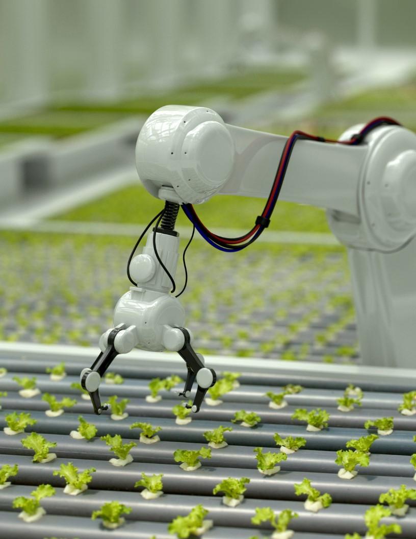 Crop Harvesting Robots Market Analysis, Size, and Forecast 2025-2029: North America (US and Canada), Europe (France, Germany, Italy, and UK), APAC (China, India, Japan, and South Korea), and Rest of World (ROW)