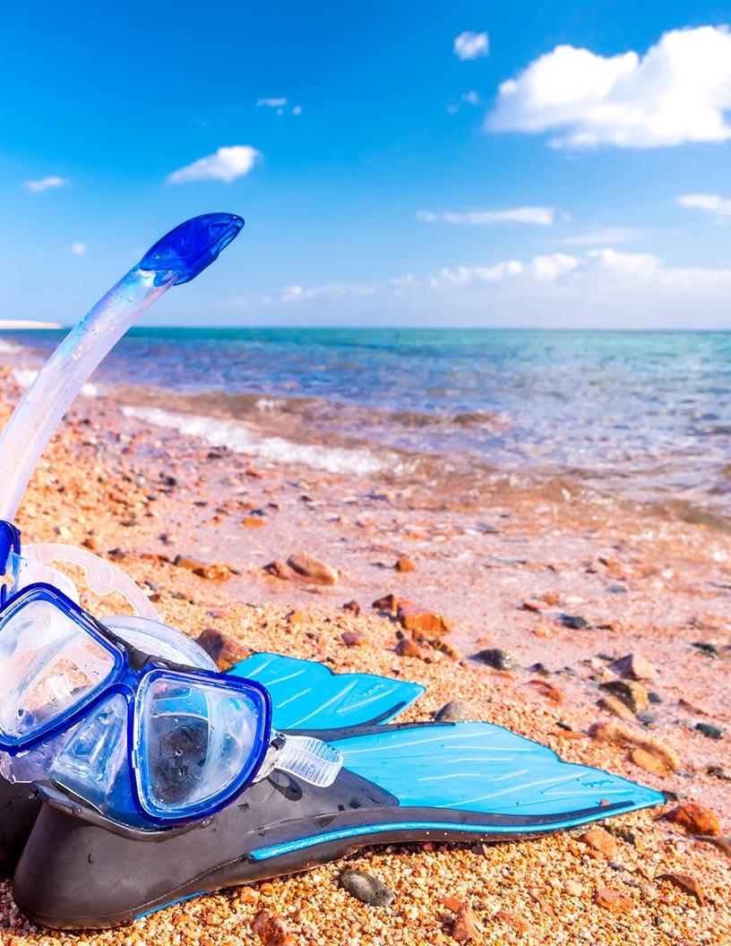 South Korea Scuba Diving Equipment Market Analysis - Size and Forecast 2025-2029