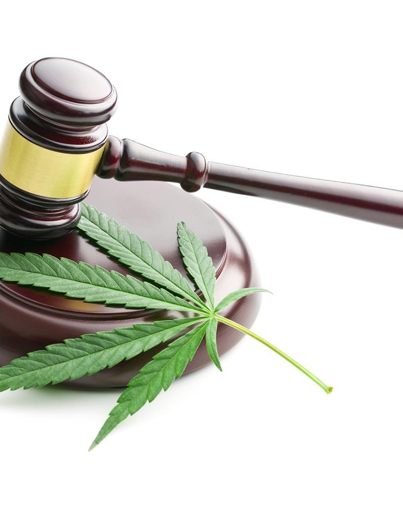 Legal Cannabis Market Analysis North America, Europe, APAC, South America, Middle East and Africa - US, Canada, Germany, UK, China, France, Italy, Japan, India, Australia - Size and Forecast 2025-2029