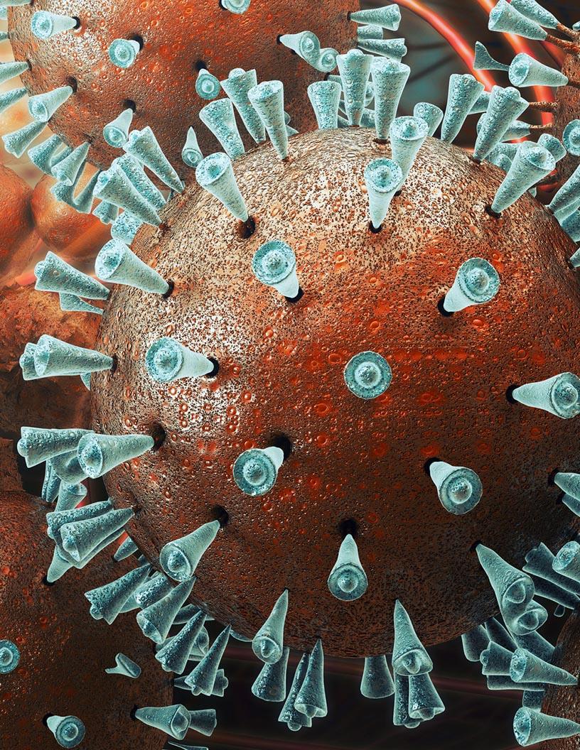 Gonorrhea Therapeutics Market Analysis, Size, and Forecast 2025-2029: North America (US and Canada), Europe (France, Germany, Italy, Spain, and UK), APAC (China, India, and Japan), and Rest of World (ROW)