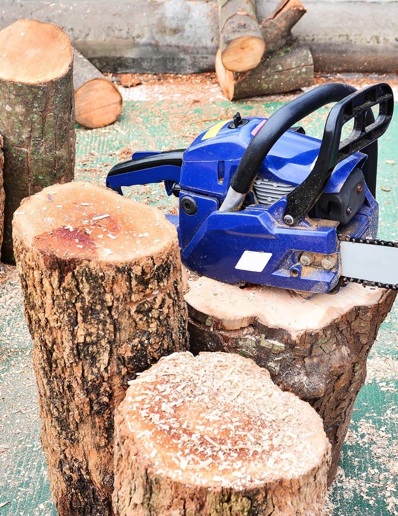 Chainsaw Market Analysis, Size, and Forecast 2025-2029: North America (US and Canada), Europe (France, Germany, Italy, UK), APAC (China, India, Japan), South America (Argentina and Brazil), and Middle East and Africa (Egypt, KSA, Oman, UAE)