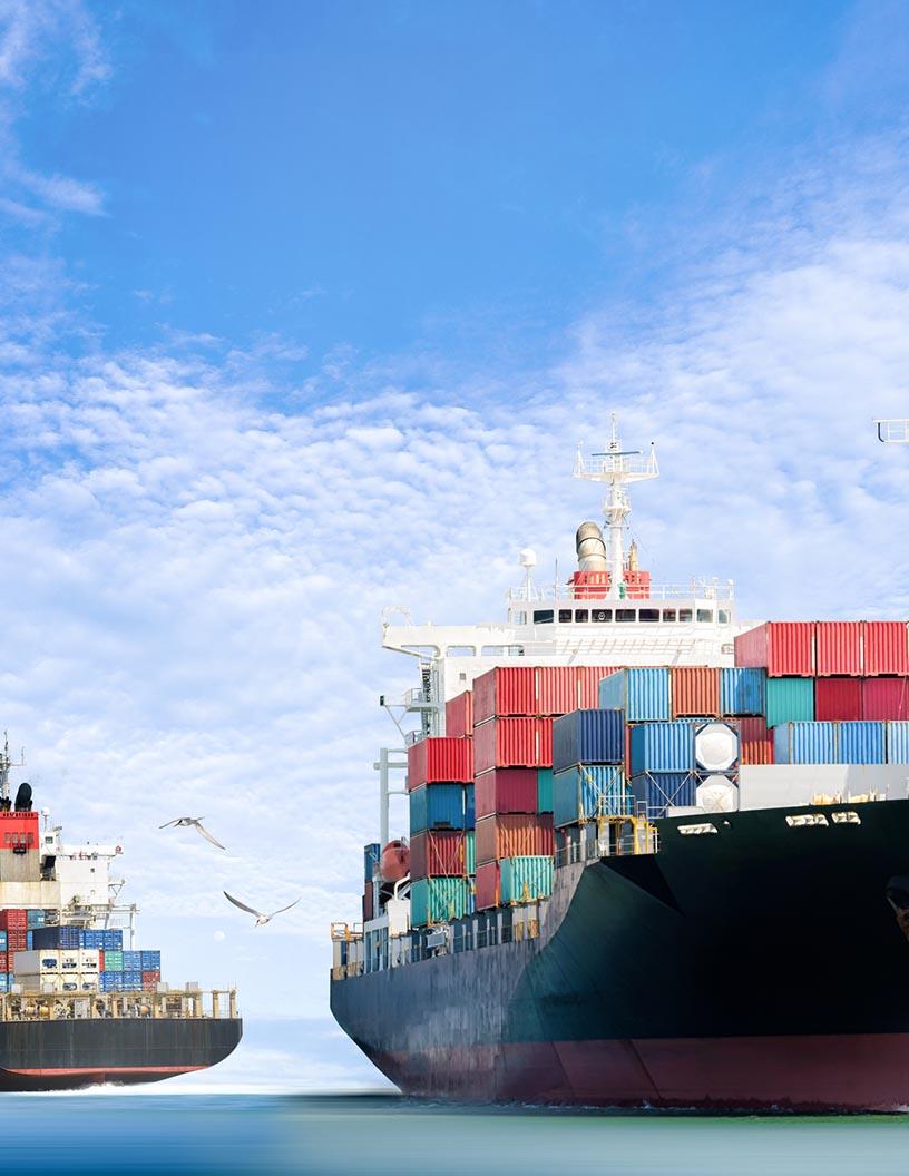 Offshore Supply Vessel Market Analysis, Size, and Forecast 2025-2029: APAC (China, India, Japan), Europe (Norway, Russia), North America (US and Canada), Middle East and Africa , and South America (Brazil)