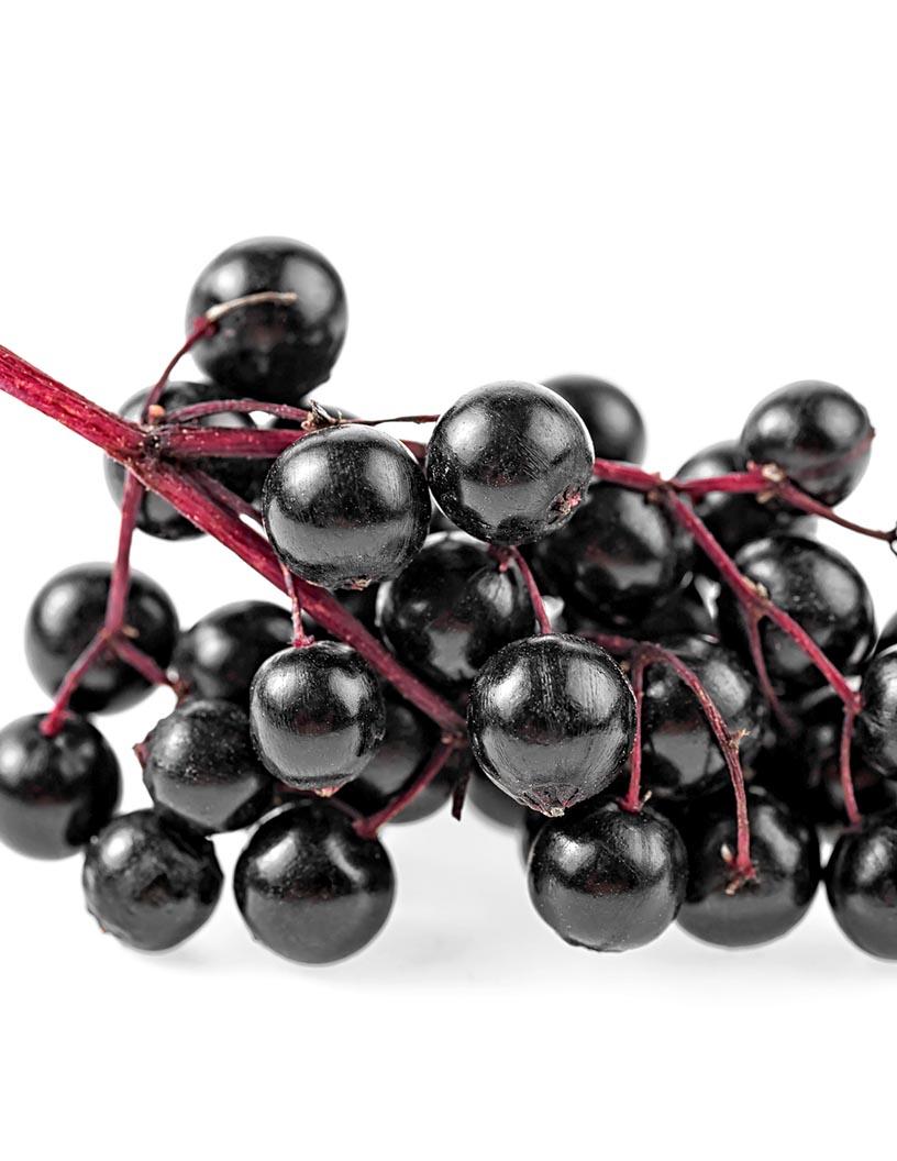 Elderberry Market Analysis, Size, and Forecast 2025-2029: North America (US, Canada), Europe (Germany, UK, Italy, France), APAC (China, India, Japan), South America (Brazil), Middle East & Africa