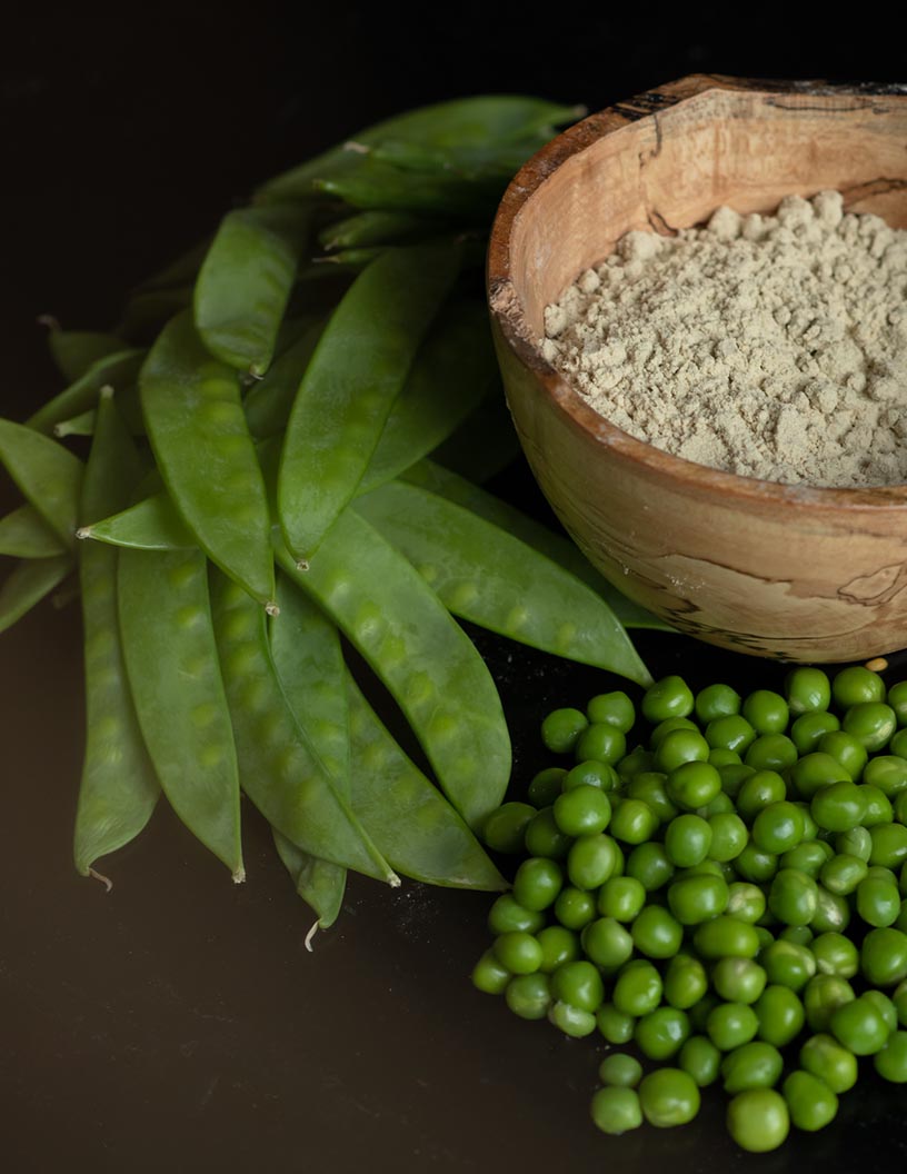 Pea Protein Processing Equipment Market Analysis North America, Europe, APAC, Middle East and Africa, South America - US, UK, China, Germany, Japan - Size and Forecast 2024-2028