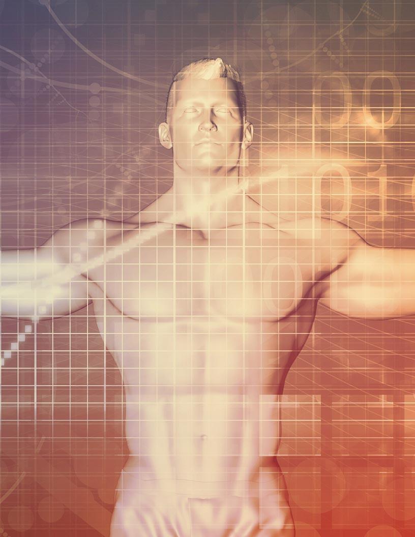 Preclinical Software for Physiology DA and AS Market Analysis, Size, and Forecast 2025-2029: North America (US and Canada), Europe (France, Germany, Italy, The Netherlands, and UK), APAC (China, India, and Japan), and Rest of World (ROW)