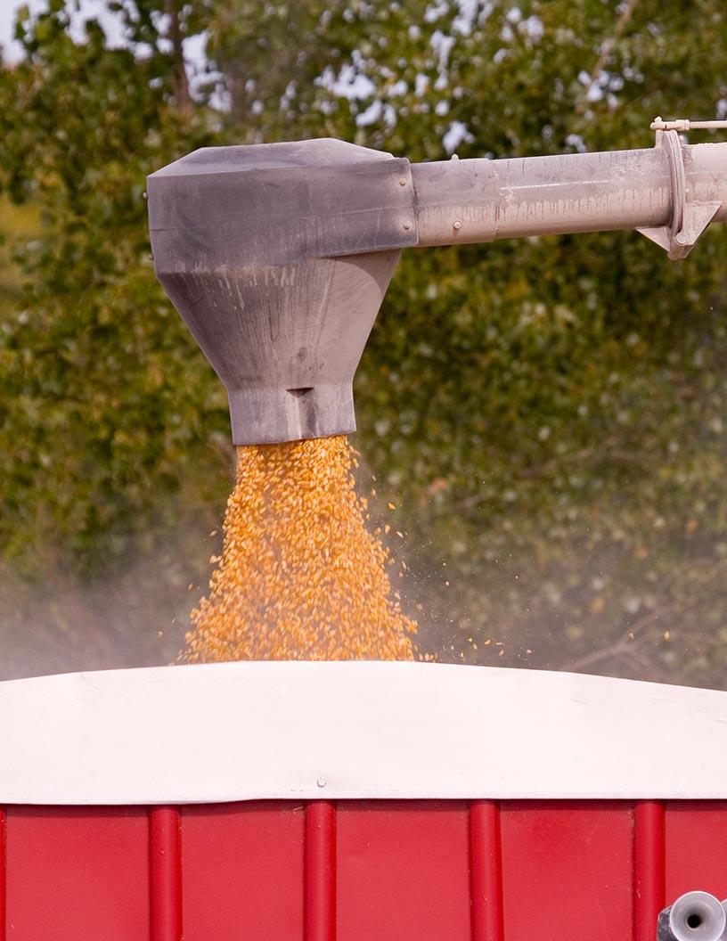 Grain Augers Market Analysis, Size, and Forecast 2025-2029: North America (US and Canada), Europe (France, Germany, Italy, UK), APAC (China, India, Japan), South America (Brazil), and Middle East and Africa