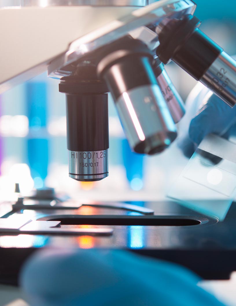 Digital Pathology Market Analysis, Size, and Forecast 2024-2028: North America (US, Canada), Europe (Germany, UK, Italy, France), APAC (China, India, Japan), South America (Brazil), Middle East & Africa