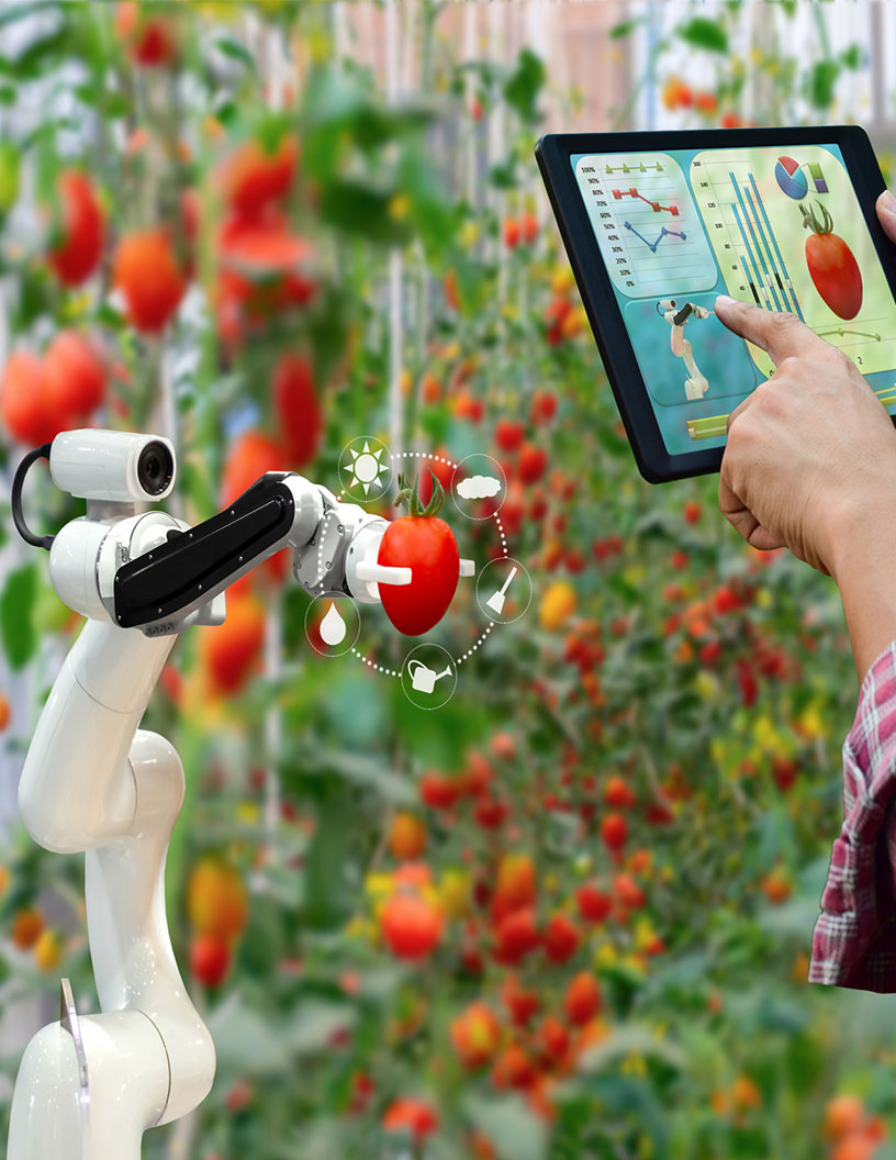 Smart Farming Market Analysis North America, Europe, APAC, Middle East and Africa, South America - US, China, France, Germany, Australia - Size and Forecast 2024-2028
