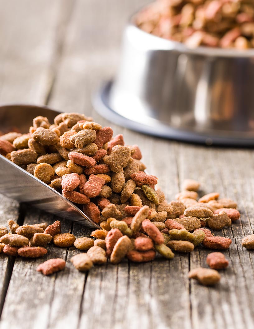 Non-Gmo Animal Feed Market Analysis, Size, and Forecast 2024-2028: North America (US and Canada), Europe (France, Germany, Italy, and UK), Middle East and Africa (Egypt, KSA, Oman, and UAE), APAC (China, India, and Japan), South America (Argentina and Brazil), and Rest of World (ROW)