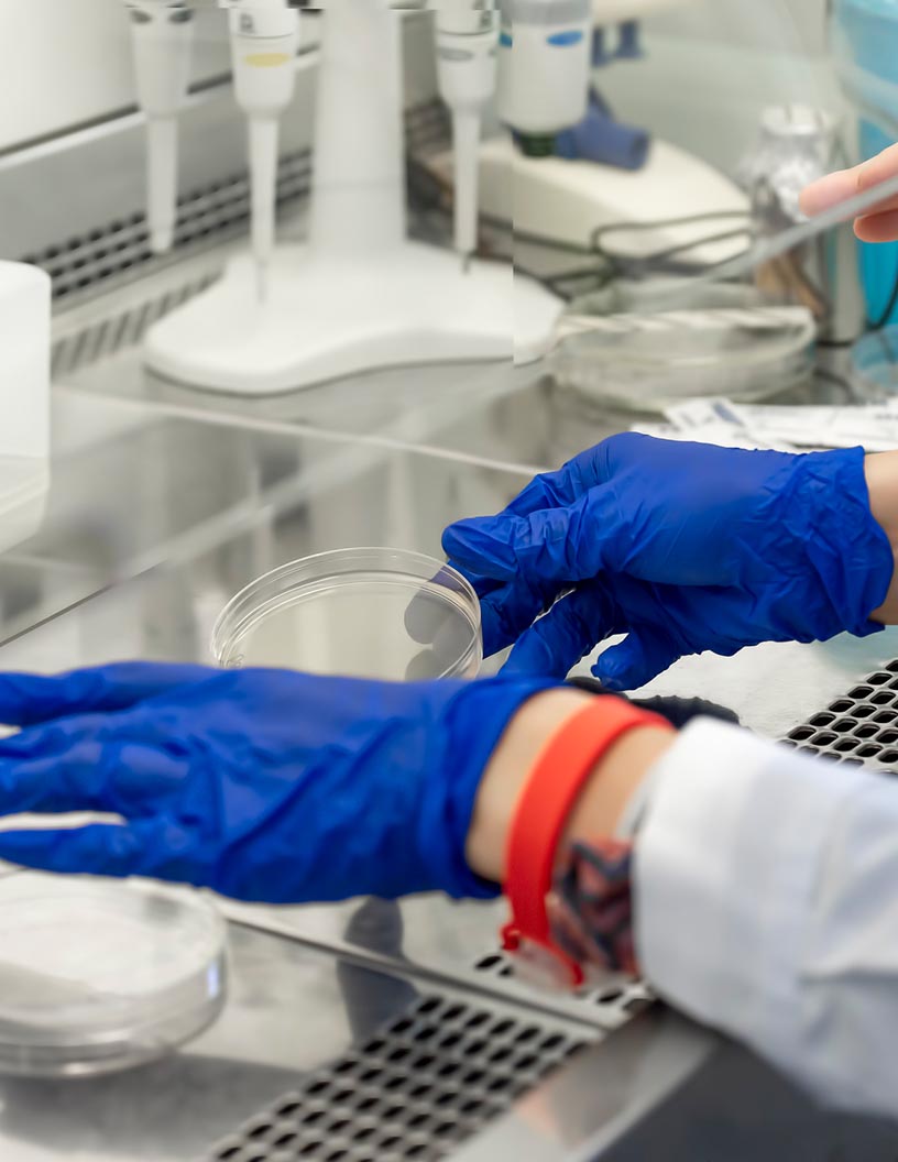 Microbial Identification Market by End-user and Geography - Forecast and Analysis 2021-2025