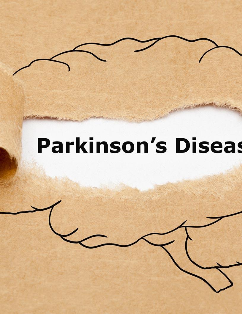 Parkinsons Disease (PD) Drugs Market Analysis, Size, and Forecast 2025-2029: North America (US and Canada), Europe (France, Germany, and UK), APAC (Australia, China, India, Japan, and South Korea), and Rest of World (ROW)