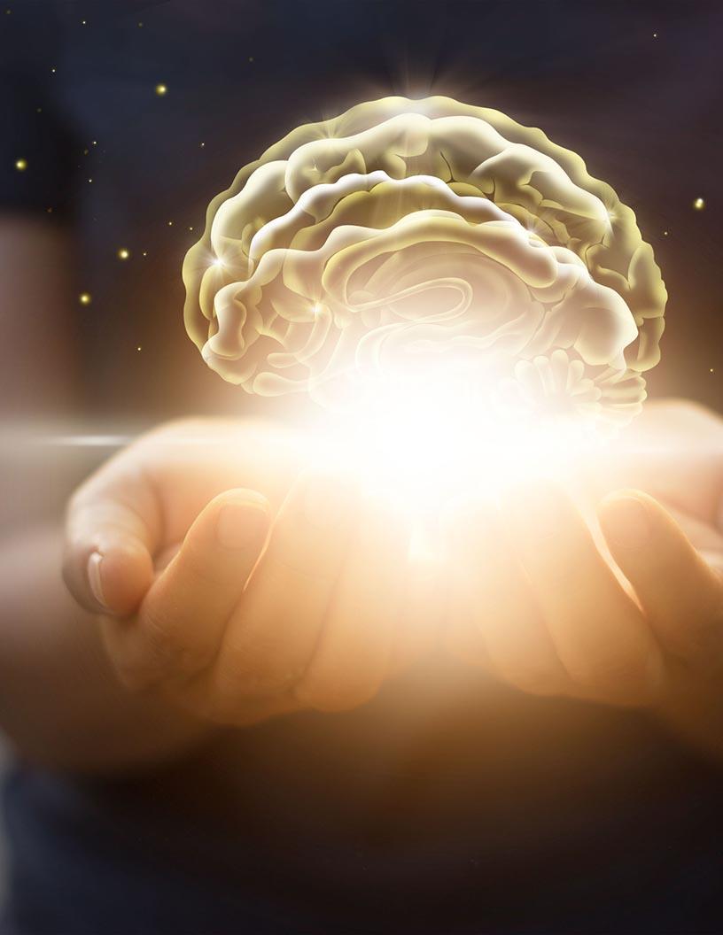 Neuronavigation Systems Market Analysis, Size, and Forecast 2025-2029: North America (US and Canada), Europe (France, Germany, Italy, and UK), Middle East and Africa (Egypt, KSA, Oman, and UAE), APAC (China, India, and Japan), South America (Argentina and Brazil), and Rest of World (ROW)