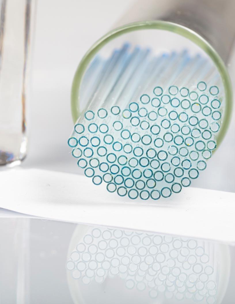 Capillary Electrophoresis Market Analysis, Size, and Forecast 2025-2029: North America (US and Canada), Europe (France, Germany, Italy, and UK), APAC (China, India, and Japan), South America (Brazil), and Rest of World (ROW)