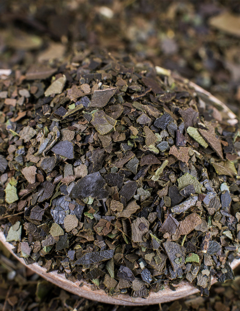 Americas - Guayusa Market Analysis South America, North America - US, Canada, Mexico, Ecuador, Brazil - Size and Forecast 2024-2028