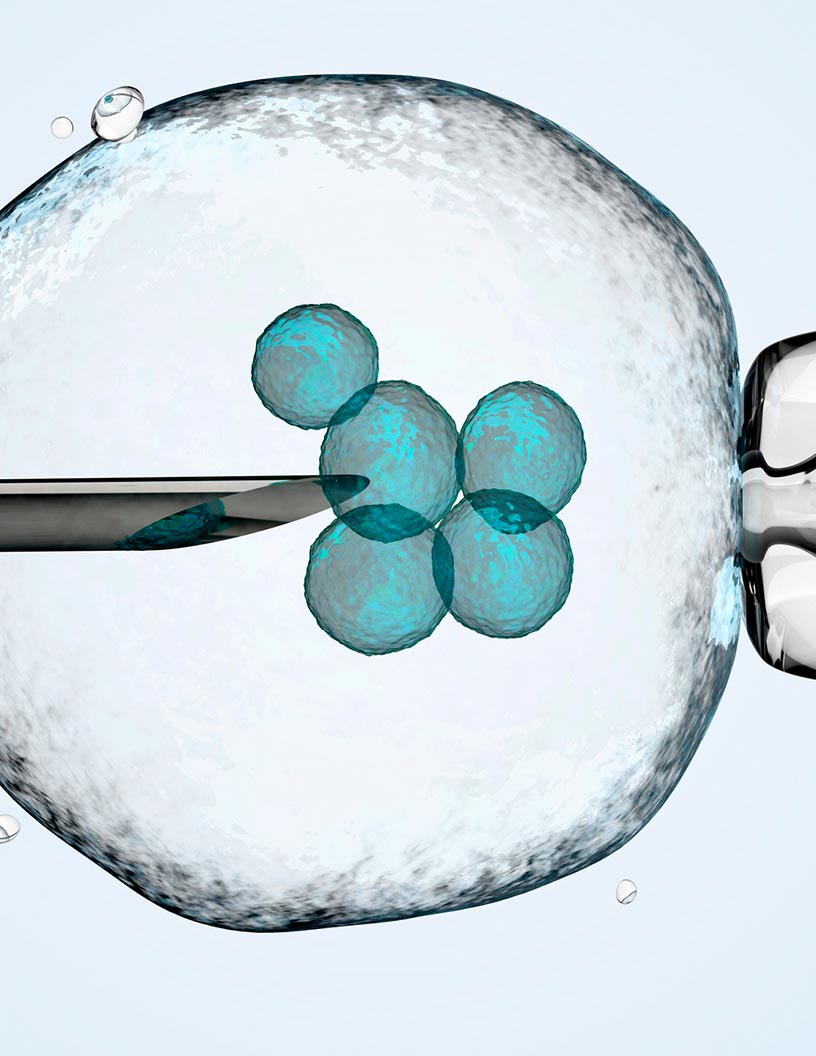 IVF Devices And Consumables Market Analysis North America, Europe, Asia, Rest of World (ROW) - US, Germany, India, Spain, Canada - Size and Forecast 2024-2028