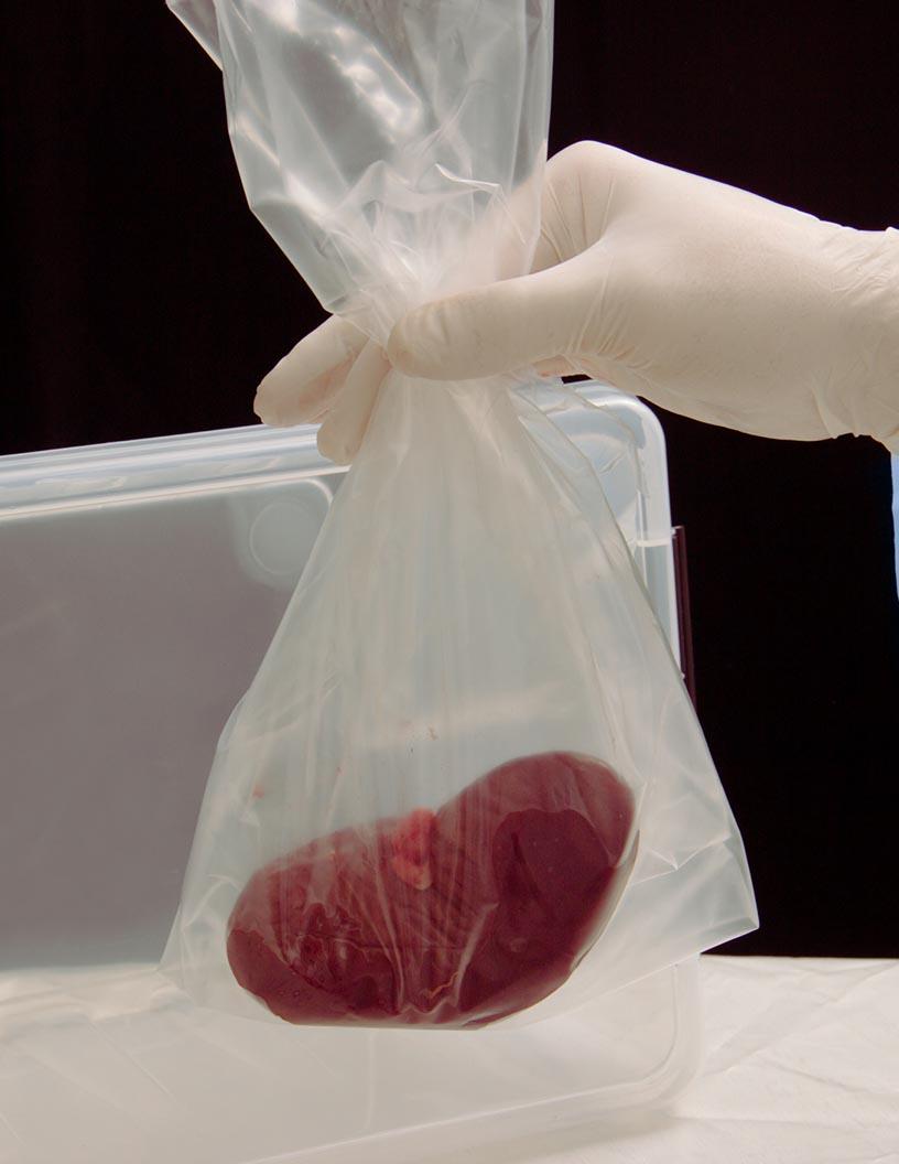 Preclinical Isolated Organ Perfusion System Market Analysis, Size, and Forecast 2025-2029: North America (US and Canada), Europe (France, Germany, Italy, and UK), APAC (China, India, Japan, and South Korea), and Rest of World (ROW)