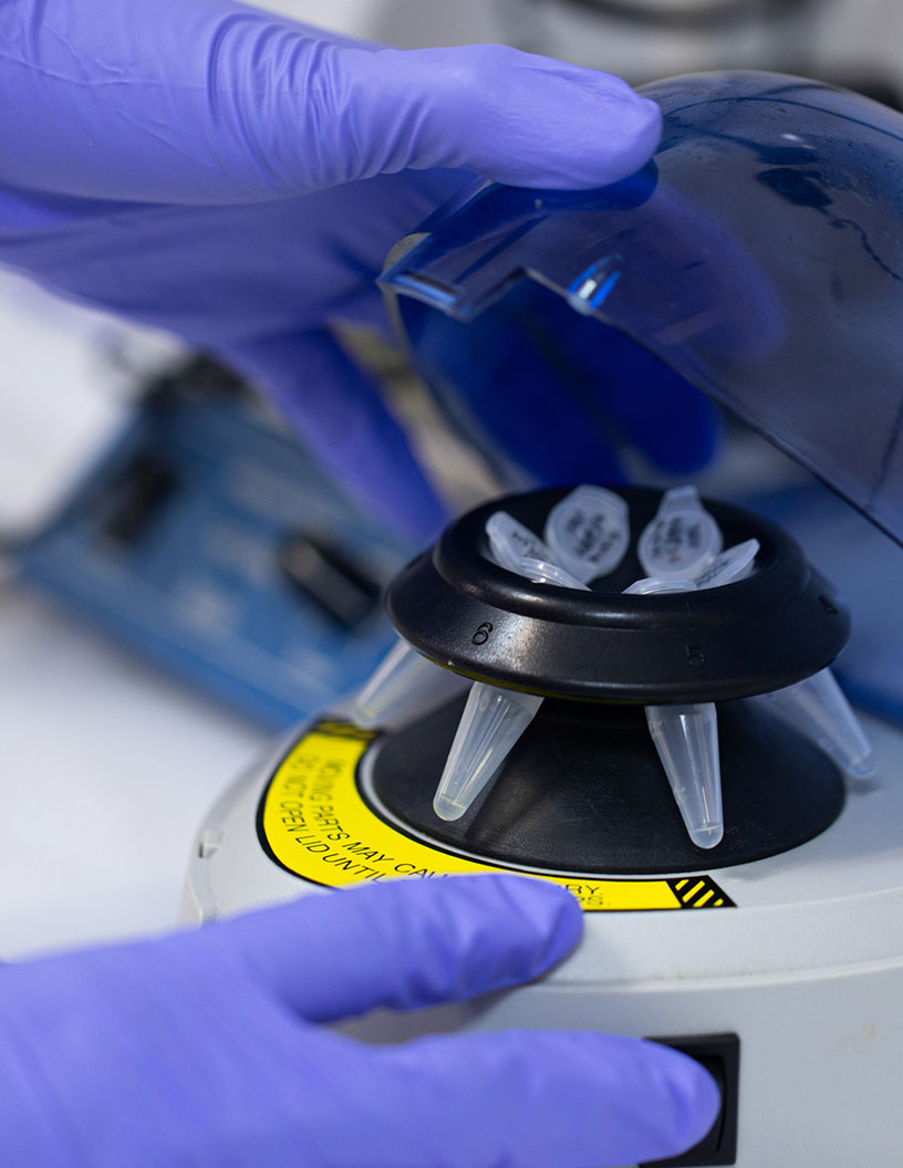 dPCR Market by Product and Geography - Forecast and Analysis 2021-2025