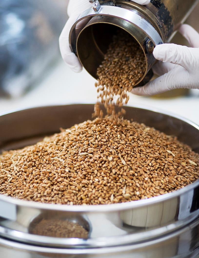 Industrial Food Dryer Market by Product and Geography - Forecast and Analysis 2021-2025