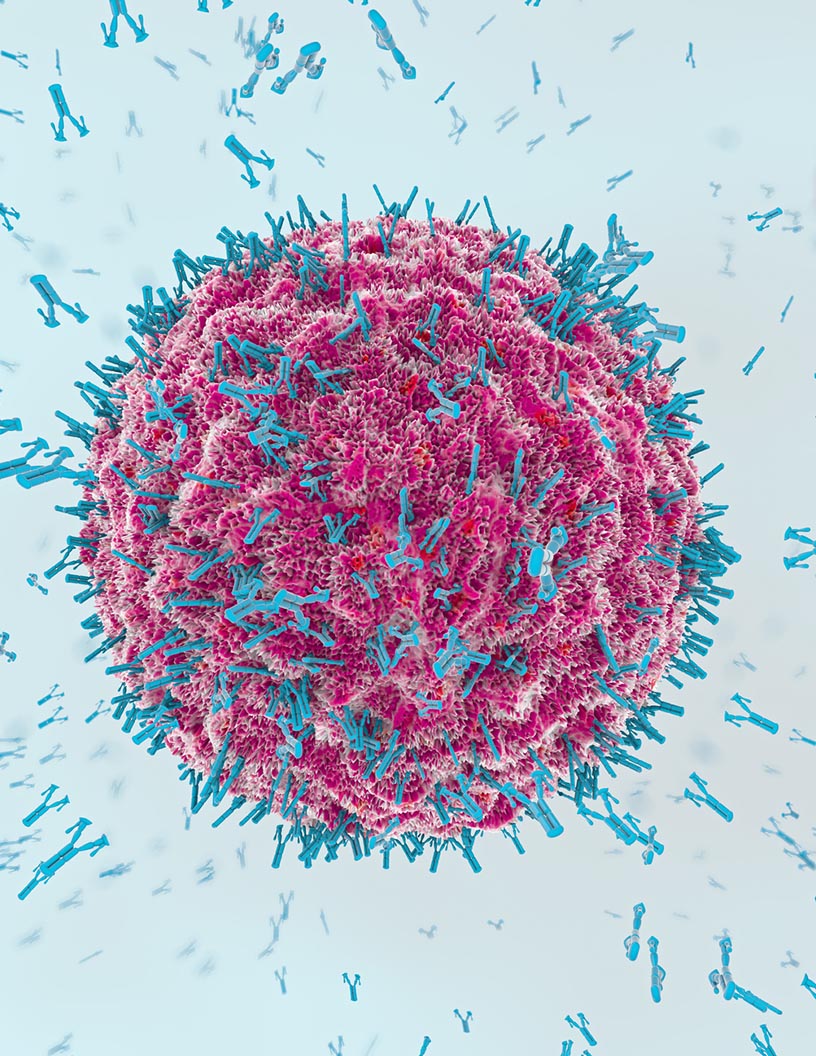 Immunoprotein Diagnostic Testing Market by End-user, Application, and Geography - Forecast and Analysis 2021-2025