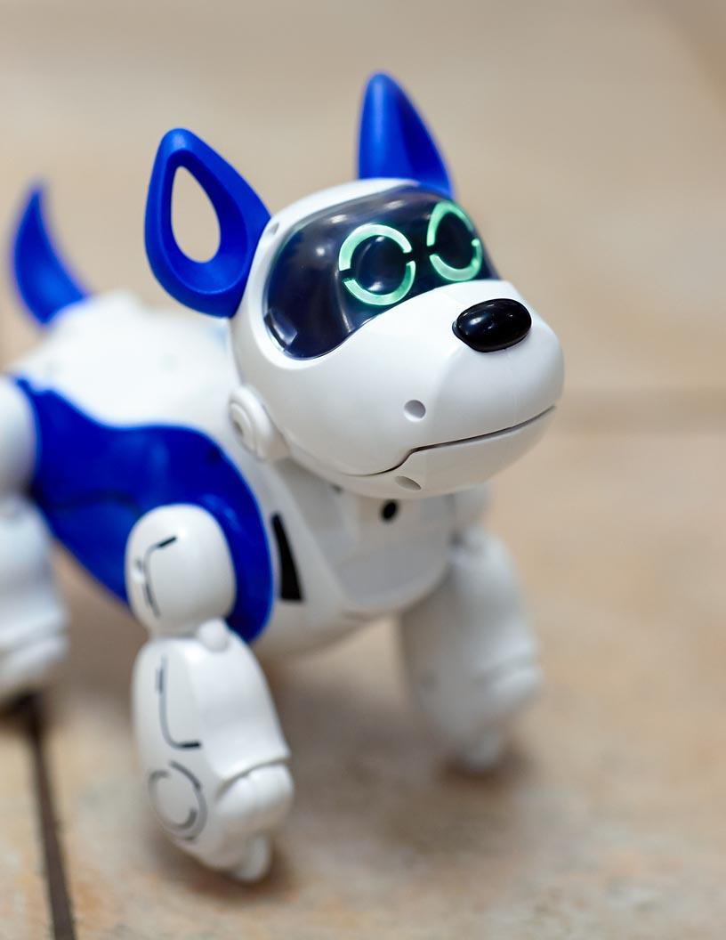 Social Robots Market Analysis, Size, and Forecast 2025-2029: North America (US and Canada), Europe (France, Germany, and UK), APAC (Australia, China, India, Japan, and South Korea), and Rest of World (ROW)