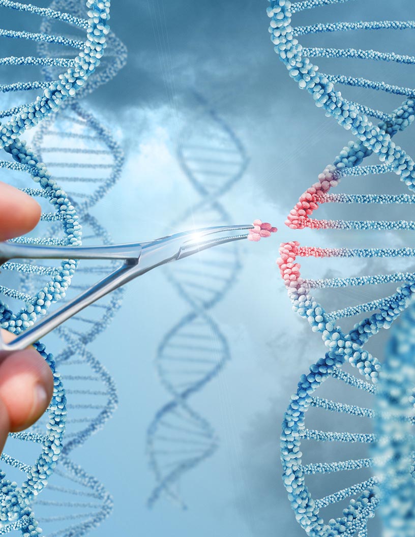 Genome Editing Market Analysis North America, Europe, Asia, Rest of World (ROW) - US, Canada, UK, Germany, China - Size and Forecast 2024-2028