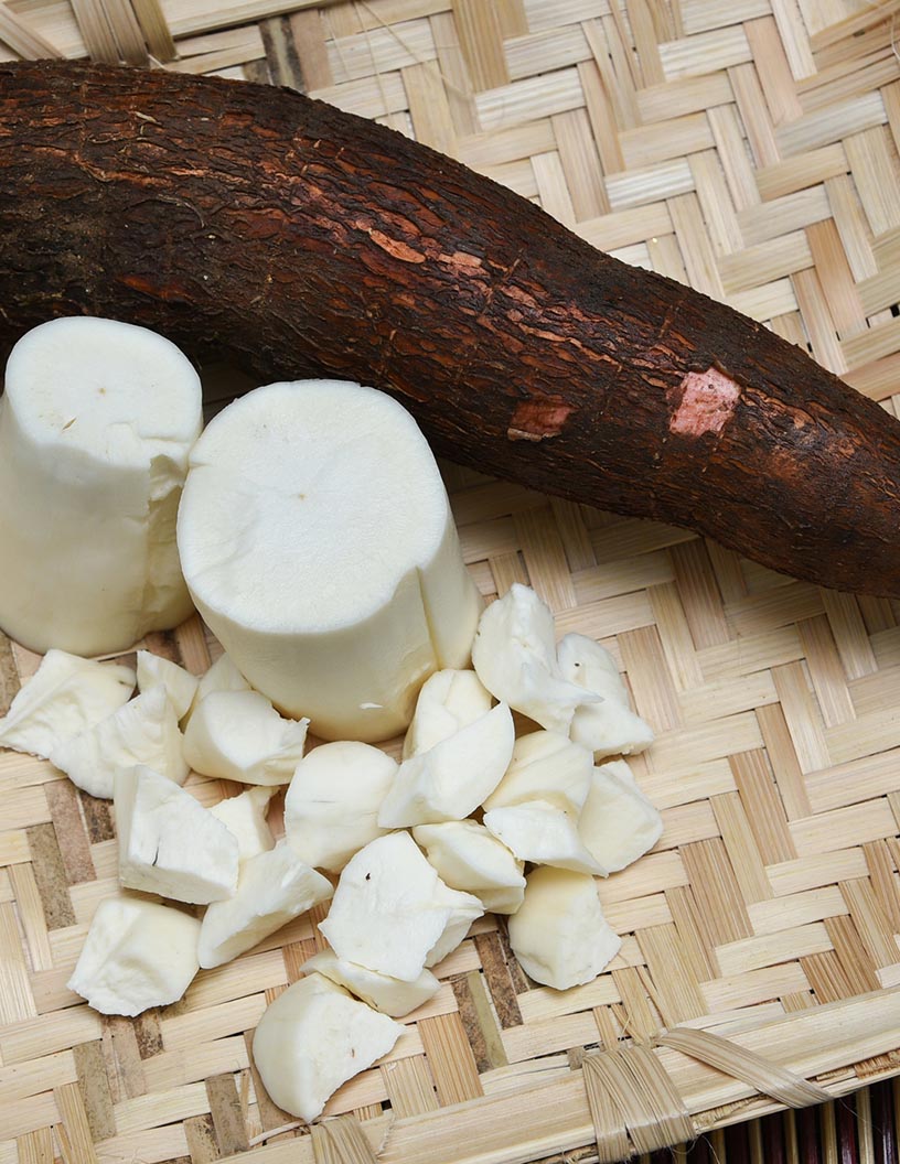 Tapioca Market Analysis, Size, and Forecast 2024-2028: North America (US and Canada), Europe (France, Germany, Italy, and UK), Middle East and Africa (Egypt, KSA, Oman, and UAE), APAC (China, India, and Japan), South America (Argentina and Brazil), and Rest of World (ROW)