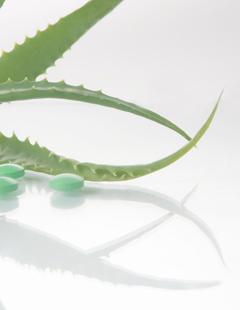 Botanical And Plant-Derived Drugs Market Analysis, Size, and Forecast 2025-2029: Asia (China, India, Japan, South Korea), Europe (Germany, Netherlands, and UK), North America (US), and Rest of World (ROW)