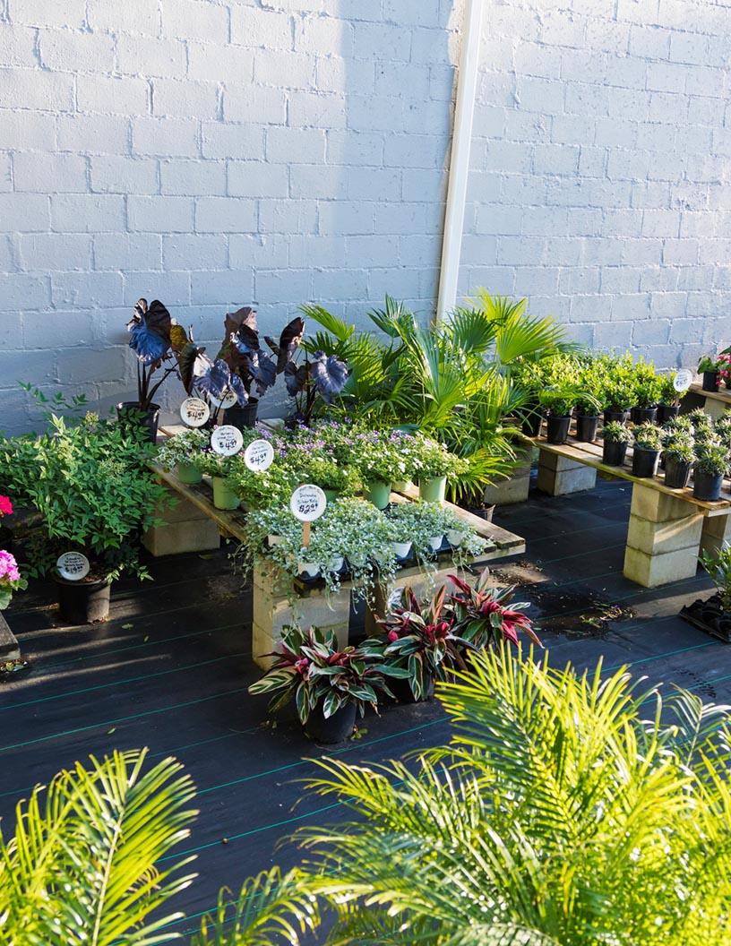 Home And Garden Products B2C E-Commerce Market Analysis, Size, and Forecast 2025-2029: North America (US and Canada), Europe (France, Germany, and UK), APAC (China, India, Japan, and South Korea), South America (Brazil), and Rest of World (ROW)