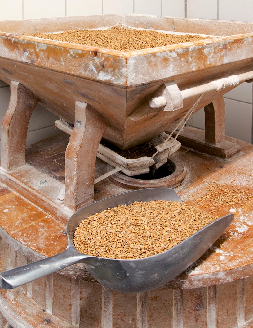 Industrial Food Milling Machines Market Analysis North America, Europe, APAC, South America, Middle East and Africa - US, China, UK, Germany, Canada - Size and Forecast 2024-2028
