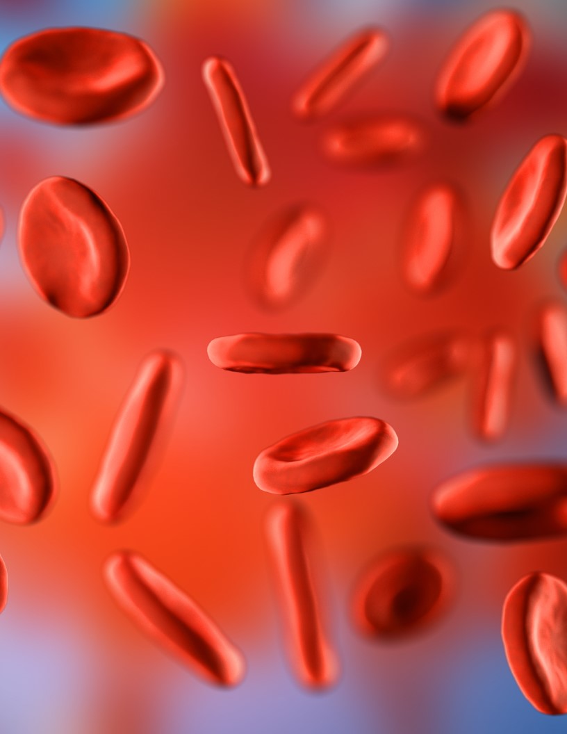 Immunohematology Market Analysis North America, Europe, Asia, Rest of World (ROW) - US, Germany, UK, Canada, China - Size and Forecast 2024-2028