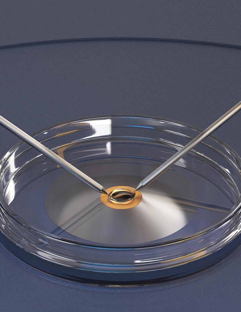 In Vitro Fertilization (IVF) Devices Market Analysis, Size, and Forecast 2025-2029: North America (US and Canada), Europe (France, Germany, Italy, and UK), Middle East and Africa (Egypt, KSA, Oman, and UAE), APAC (China, India, and Japan), South America (Argentina and Brazil), and Rest of World (ROW)