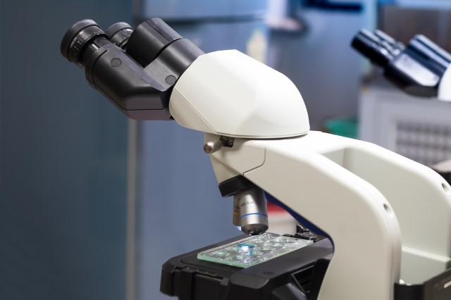 Microscopy Devices Market by Product, Application, and Geography - Forecast and Analysis 2020-2024
