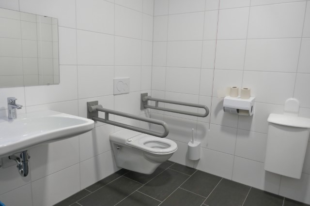 Bathroom and Toilet Assist Devices Market Growth, Size, Trends, Analysis Report by Type, Application, Region and Segment Forecast 2020-2024