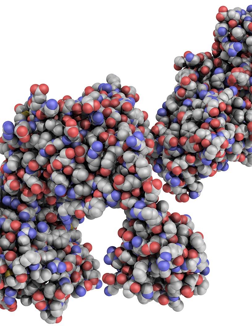 Proteomics Market Analysis, Size, and Forecast 2025-2029: North America (US and Canada), Europe (France, Germany, Italy, and UK), Middle East and Africa (Egypt, KSA, Oman, and UAE), APAC (China, India, and Japan), South America (Argentina and Brazil), and Rest of World (ROW)