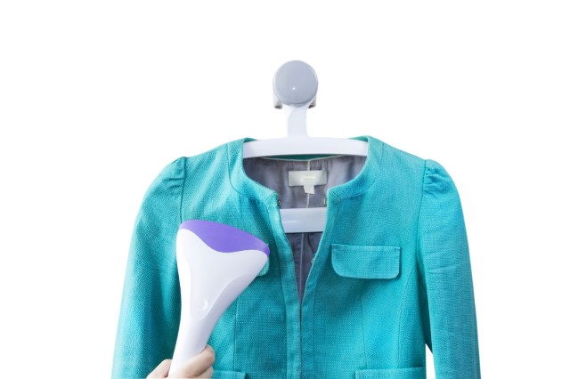 Household Clothes Steamers and Dryers Market Growth, Size, Trends, Analysis Report by Type, Application, Region and Segment Forecast 2021-2025