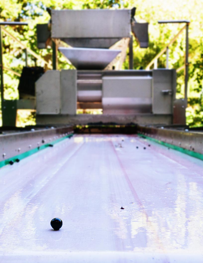 Fruit Sorting Machinery Market Analysis Europe, North America, APAC, Middle East and Africa, South America - US, The Netherlands, Germany, China, Japan - Size and Forecast 2024-2028