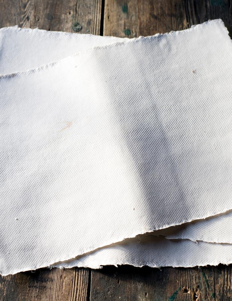 Bleached Eucalyptus Kraft Pulp Market Analysis, Size, and Forecast 2025-2029: North America (US and Canada), Europe (France, Germany, Italy, and UK), APAC (China, India, Japan, and South Korea), and Rest of World (ROW)