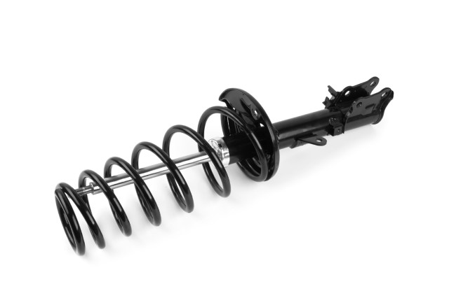 Automotive Shocks and Struts Market Growth, Size, Trends, Analysis Report by Type, Application, Region and Segment Forecast 2021-2025