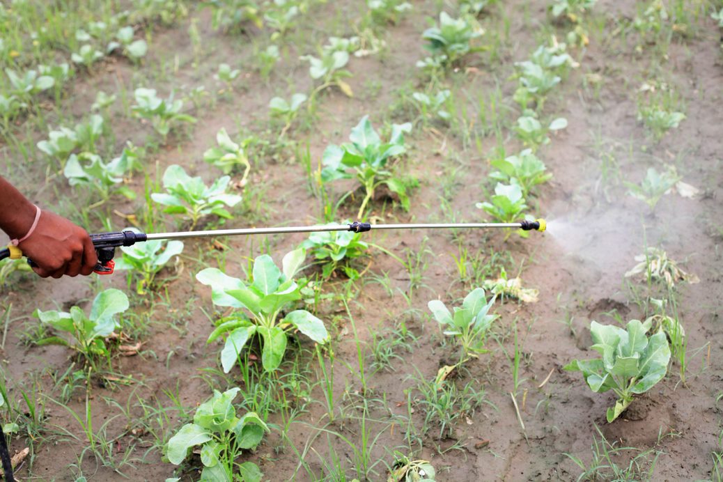 Phosgene Market by Application and Geography - Forecast and Analysis 2021-2025