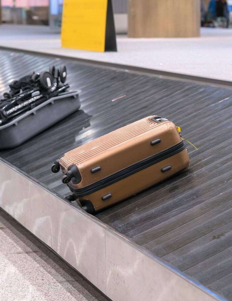 Smart Baggage Handling Solutions Market Analysis, Size, and Forecast 2025-2029: North America (US and Canada), Europe (France, Germany, and UK), Middle East and Africa (UAE), APAC (China, India, Japan, and Singapore), and Rest of World (ROW)
