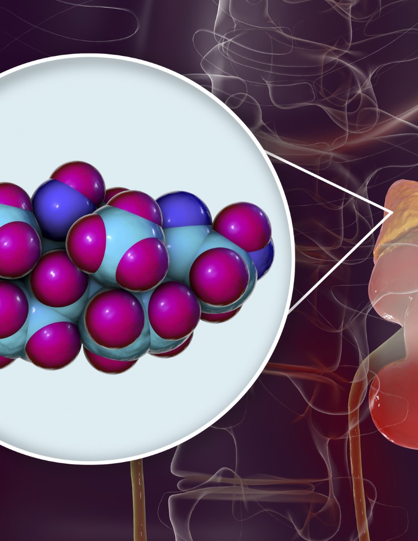 Addisons Disease Therapeutics Market Analysis North America, Europe, Asia, Rest of World (ROW) - US, Germany, UK, Japan, Canada - Size and Forecast 2024-2028