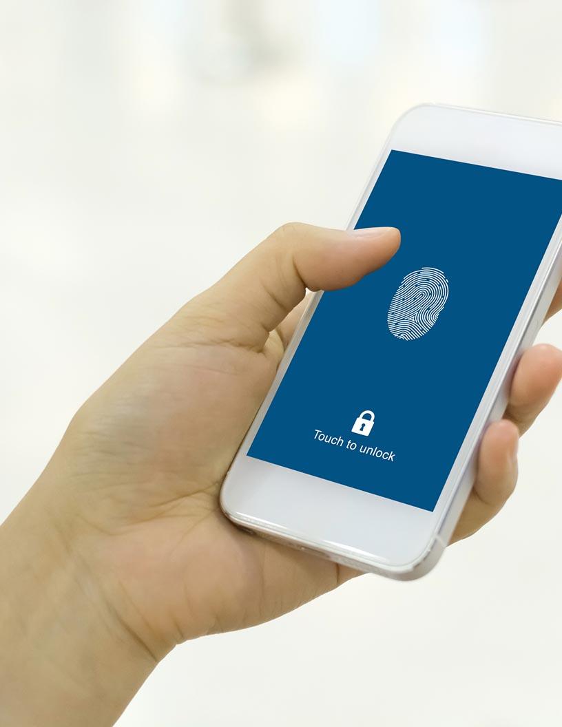 Application Security Market Analysis, Size, and Forecast 2025-2029: North America (US and Canada), Europe (France, Germany, Italy, UK), APAC (China, India, Japan, South Korea), Middle East and Africa , and South America