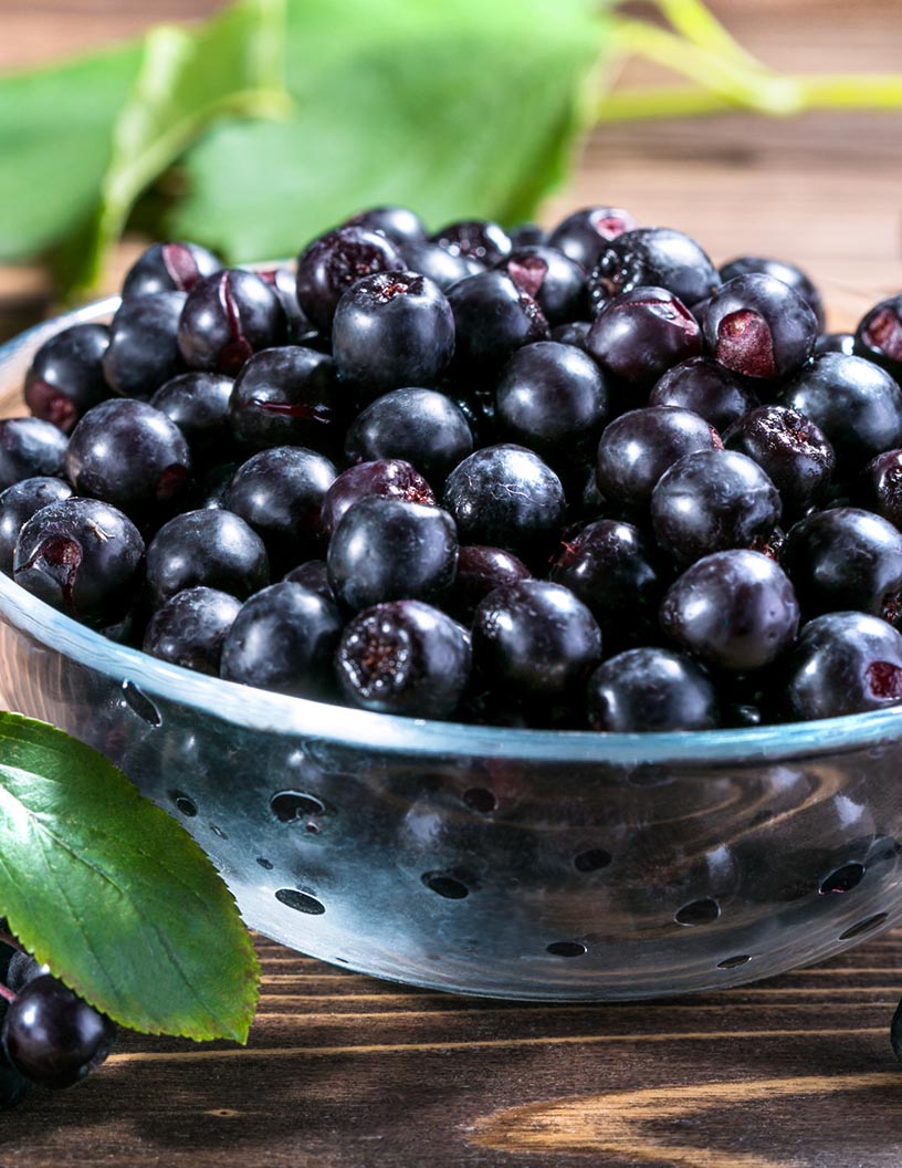 Aronia Berries Market Analysis, Size, and Forecast 2024-2028: North America (Canada), Europe (France, Germany, Italy, and UK), Middle East and Africa (Egypt, KSA, Oman, and UAE), APAC (China, India, and Japan), South America (Argentina and Brazil), and Rest of World (ROW)