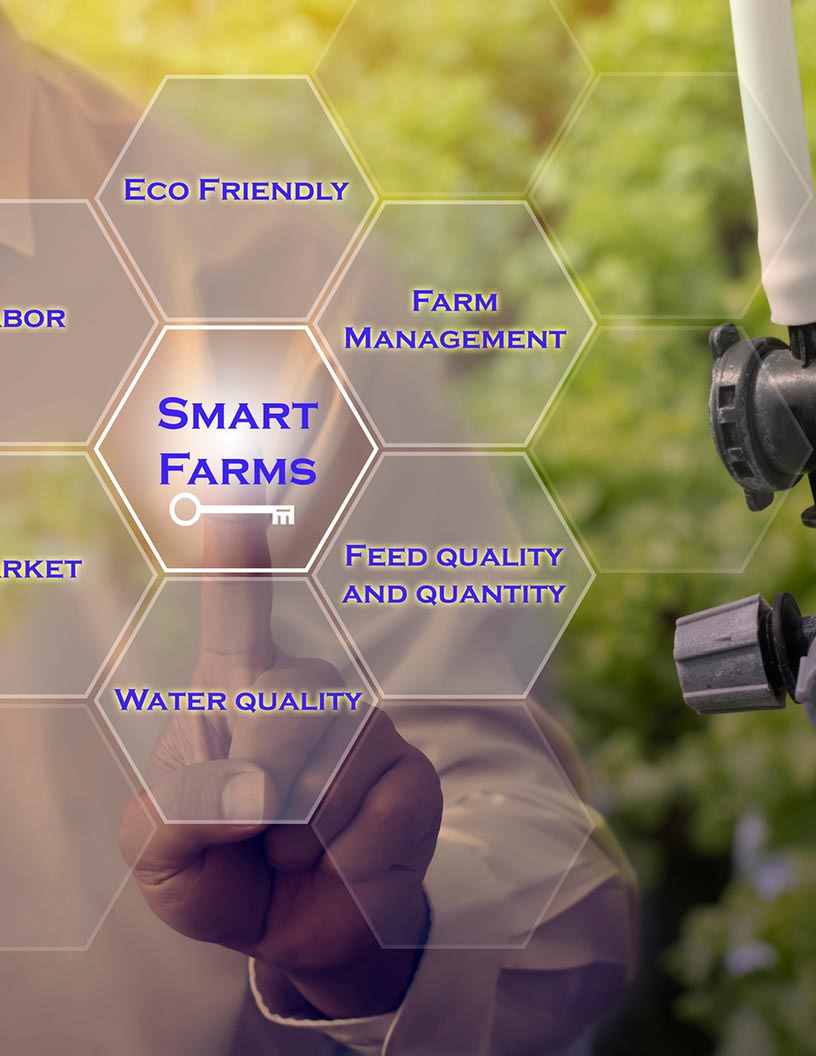 Farm Management Software Market Analysis North America, Europe, APAC, Middle East and Africa, South America - US, Canada, China, UK, Germany - Size and Forecast 2024-2028