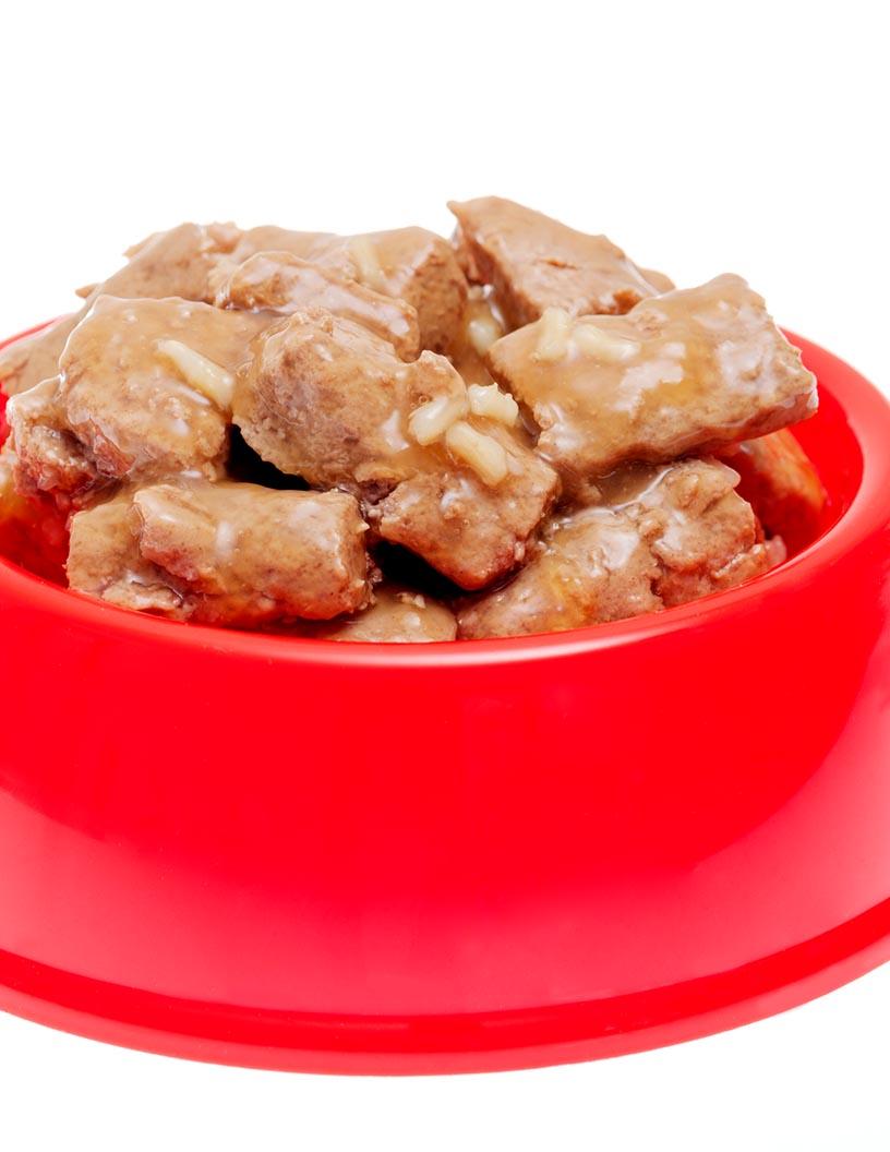 US Fresh Pet Food Market Analysis, Size, and Forecast 2025-2029