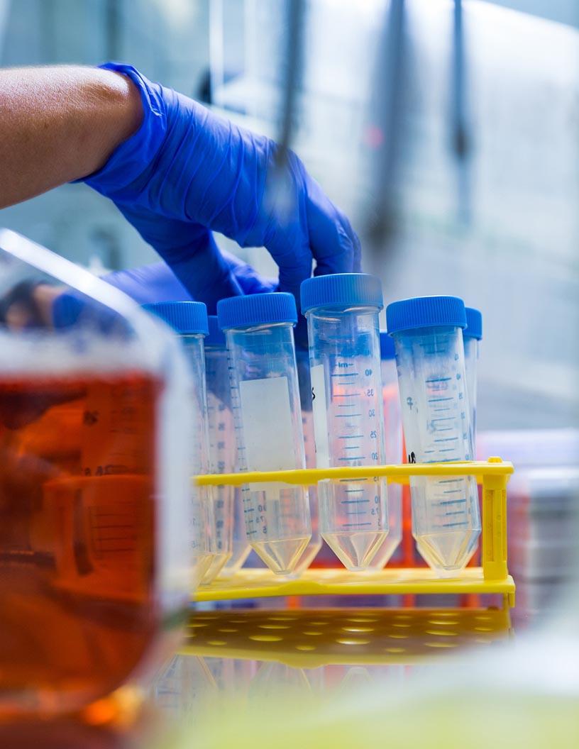 Oil Field Bio-Solvents Market Analysis, Size, and Forecast 2025-2029: North America (US and Canada), Europe (France, Germany, Italy, and UK), Middle East and Africa (Egypt, KSA, Oman, and UAE), APAC (China, India, and Japan), South America (Argentina and Brazil), and Rest of World (ROW)