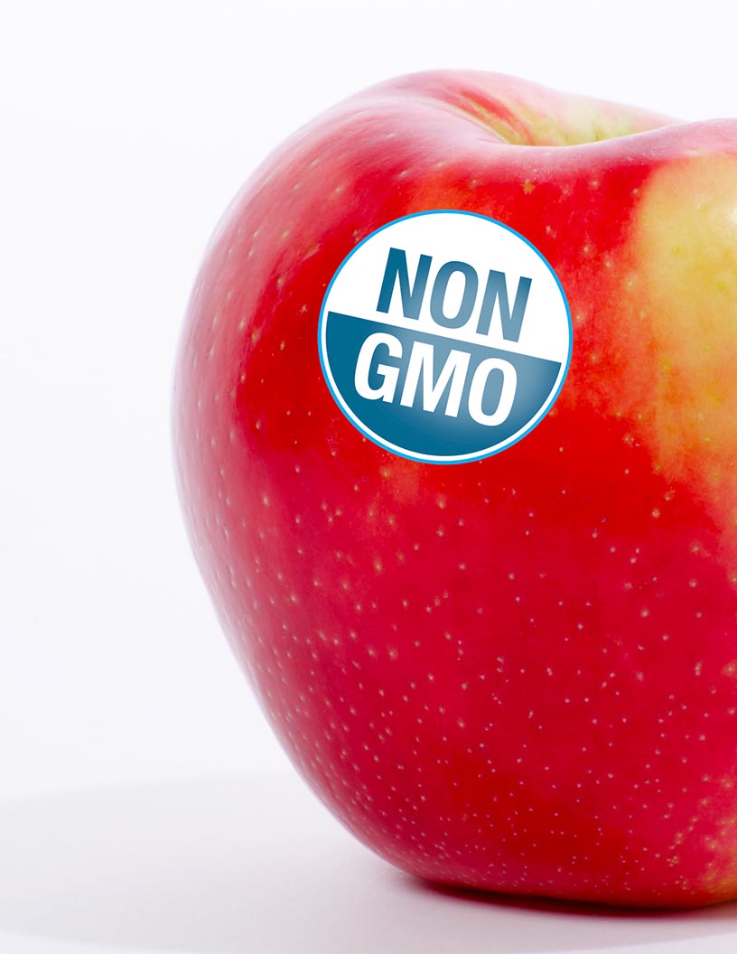 Non-GMO Foods Market by Product, Distribution Channel, and Geography - Forecast and Analysis 2021-2025