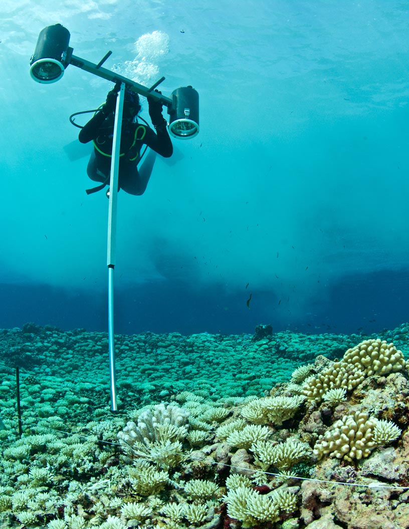 Marine Pharmaceuticals Market Analysis North America, Europe, Asia, Rest of World (ROW) - US, Canada, Germany, UK, China - Size and Forecast 2024-2028