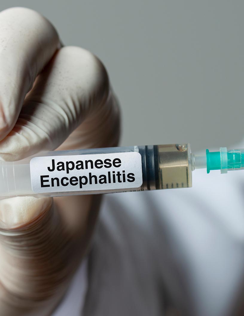 Japanese Encephalitis Vaccines (JEV) Market Analysis Asia, Rest of World (ROW), Europe, North America - South Korea, Australia, China, India, Japan - Size and Forecast 2024-2028